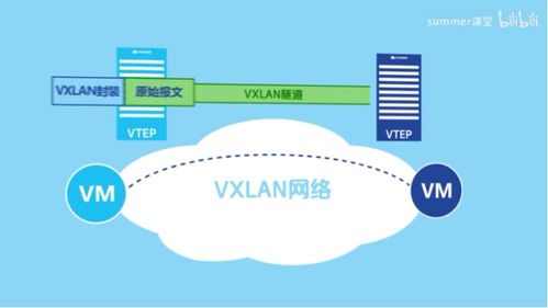 VXLAN通信原理與應(yīng)用場景 網(wǎng)絡(luò)與信息安全軟件開發(fā)視角